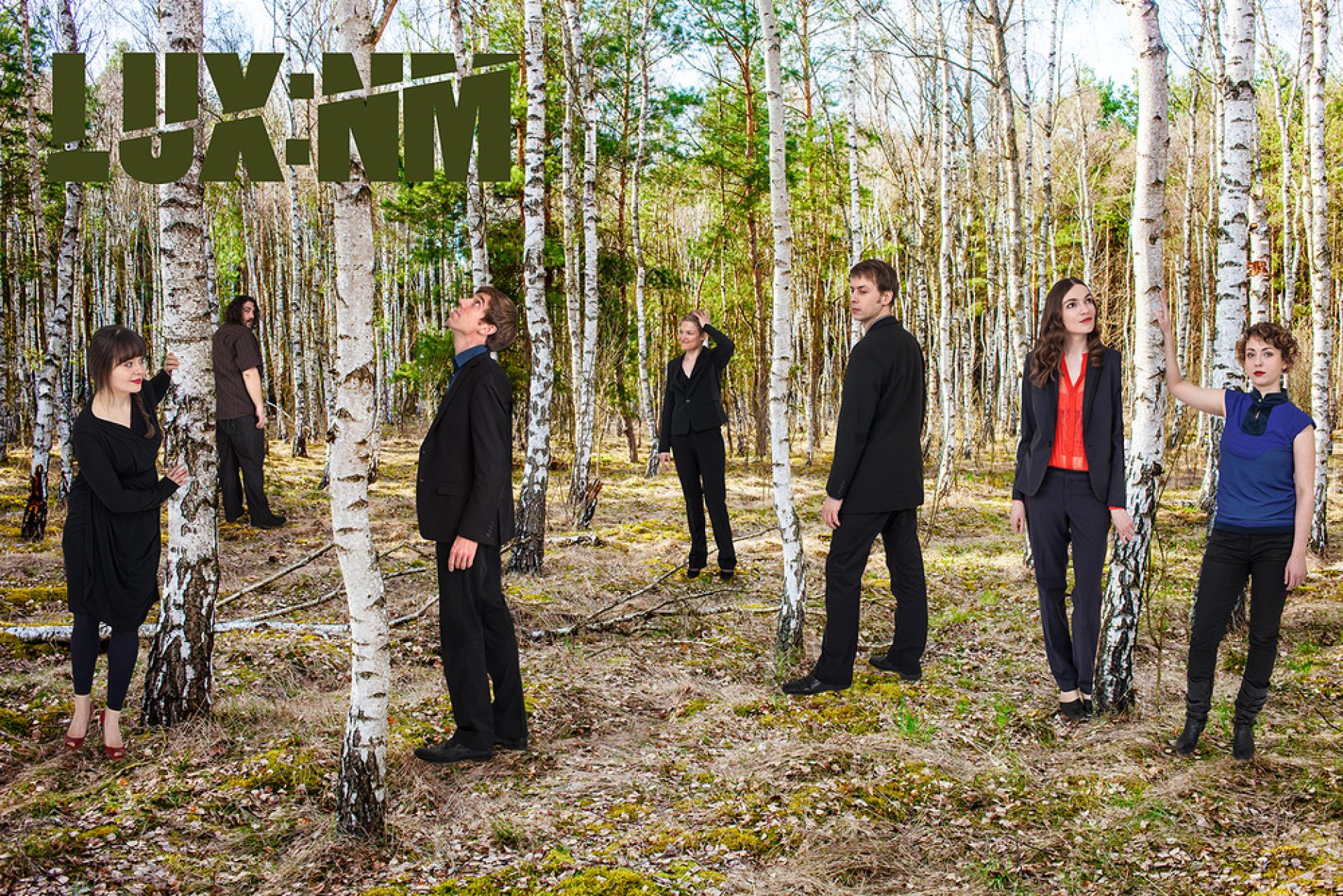 Die Mitglieder des Ensemble Lux:NM stehen in einem Birkenwald und schauen in die Baumkronen. 