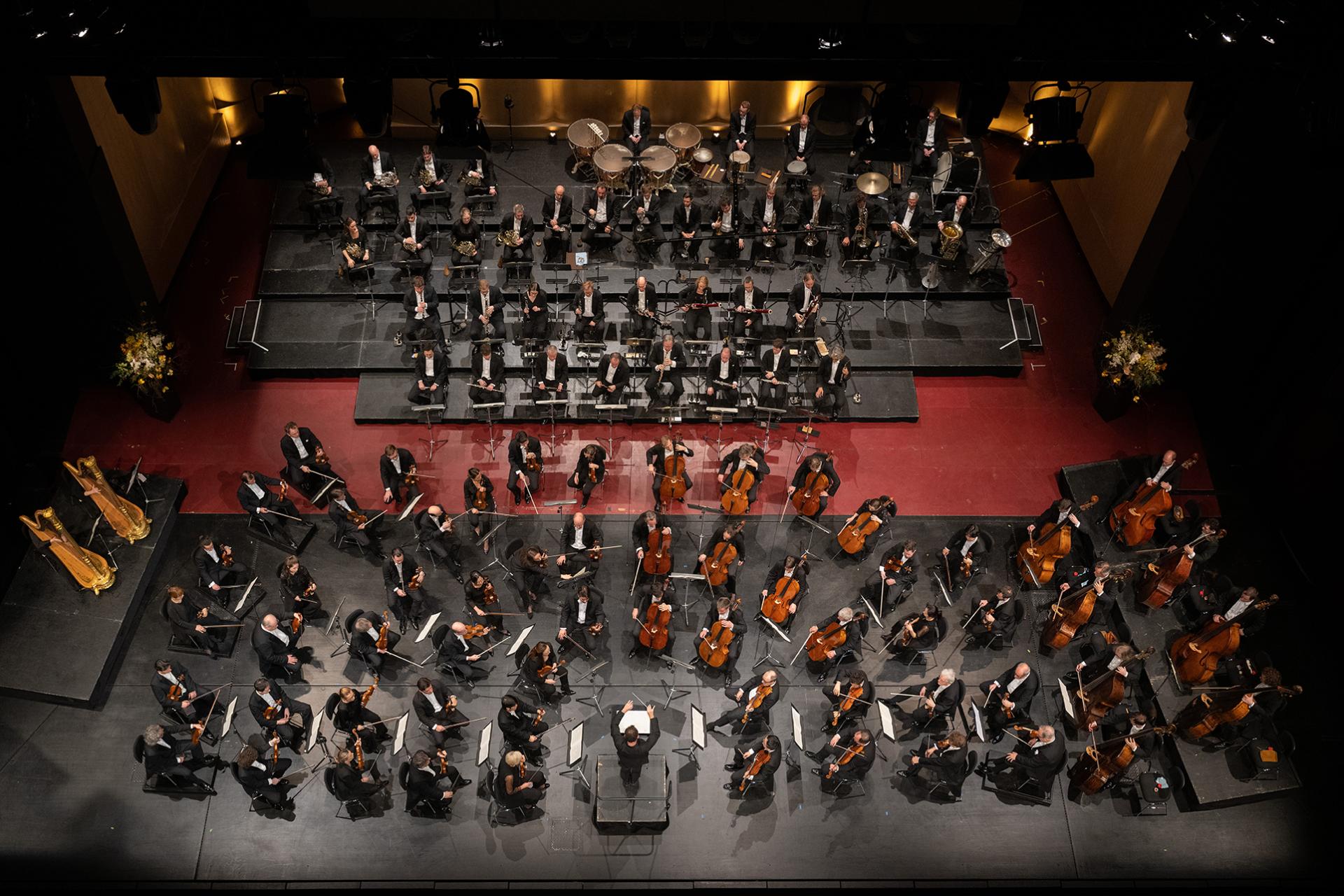 A bird&#039;s eye view of the orchestra, the stage floor is black and red