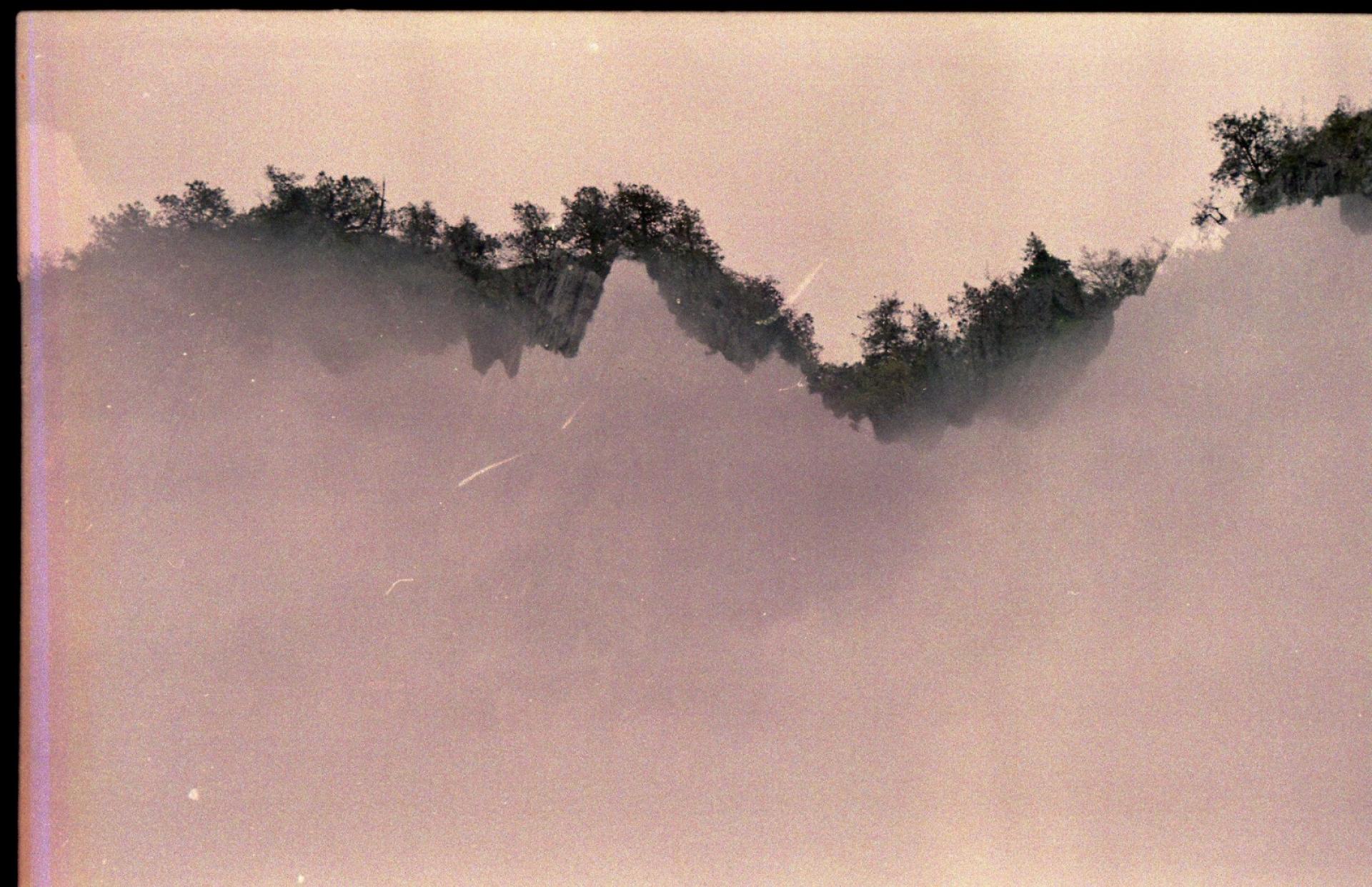 Analog sepia-colored photograph in which the tips of a group of trees are depicted in front of a jagged abstract surface, tracing the course of the upper edge of the surface