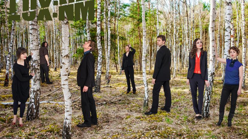 Die Mitglieder des Ensemble Lux:NM stehen in einem Birkenwald und schauen in die Baumkronen. 